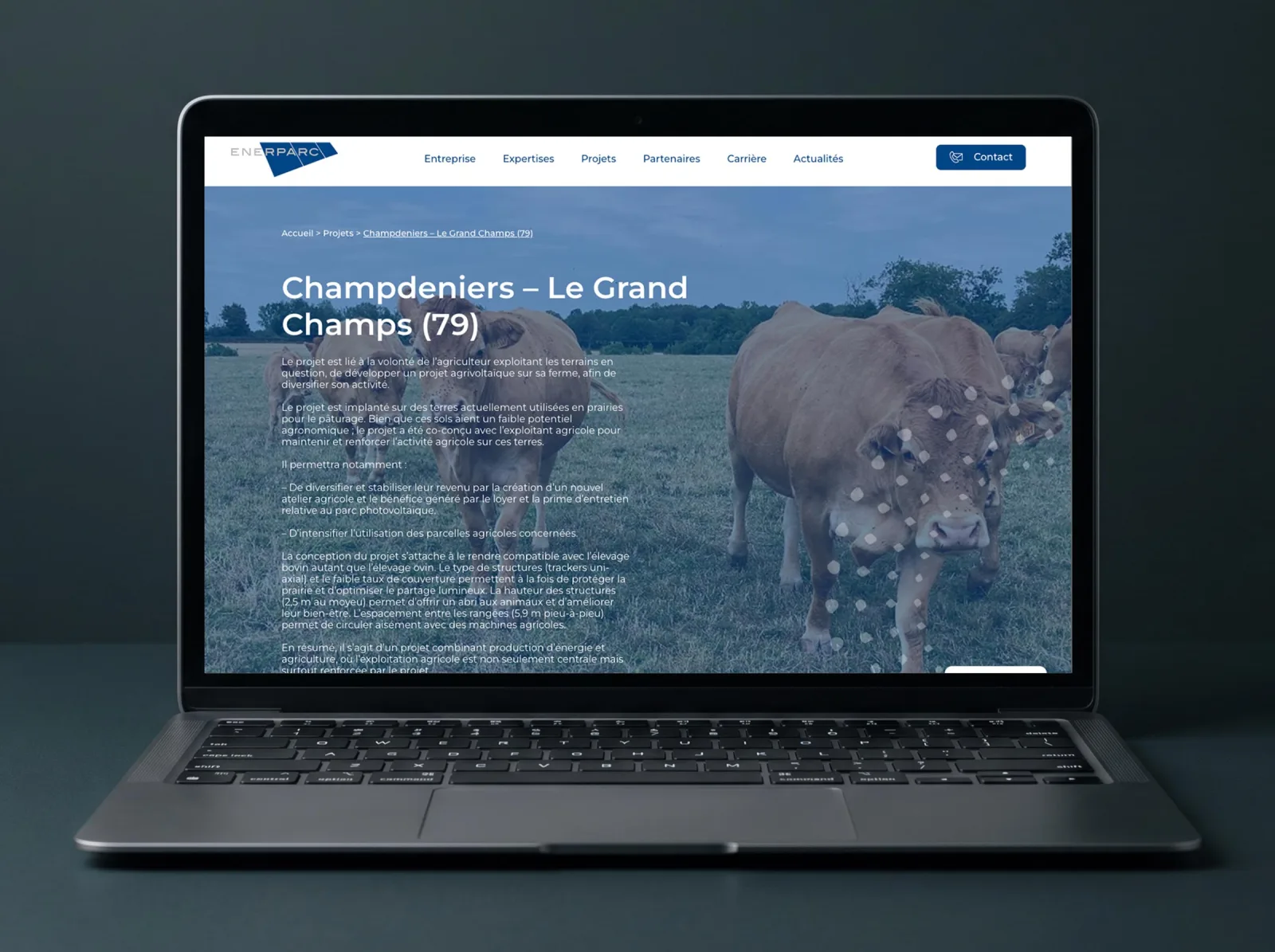 Enerparc, Site vitrine & SEO, visuel 3