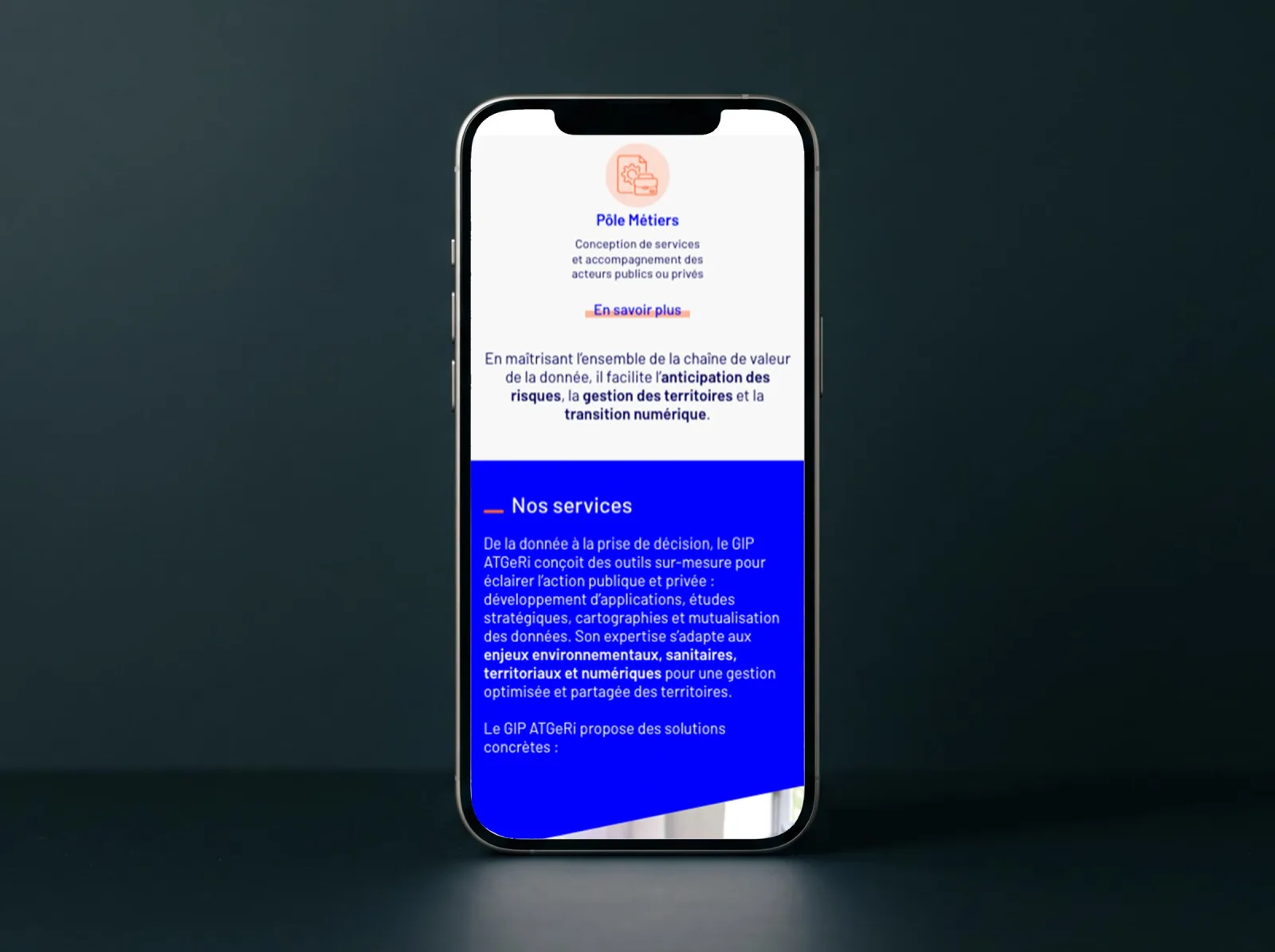 GIP ATgeRi, Refonte de site institutionnel, visuel 6
