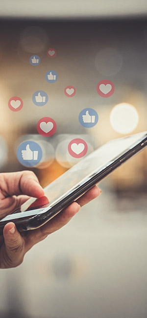 referencement social media site internet agence offensive bordeaux 2